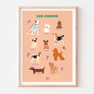 Affiche pédagogique – Les chiens