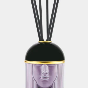 Ginori 1735 Diffuseur "Amazzone Purple Hill" (300 ml)